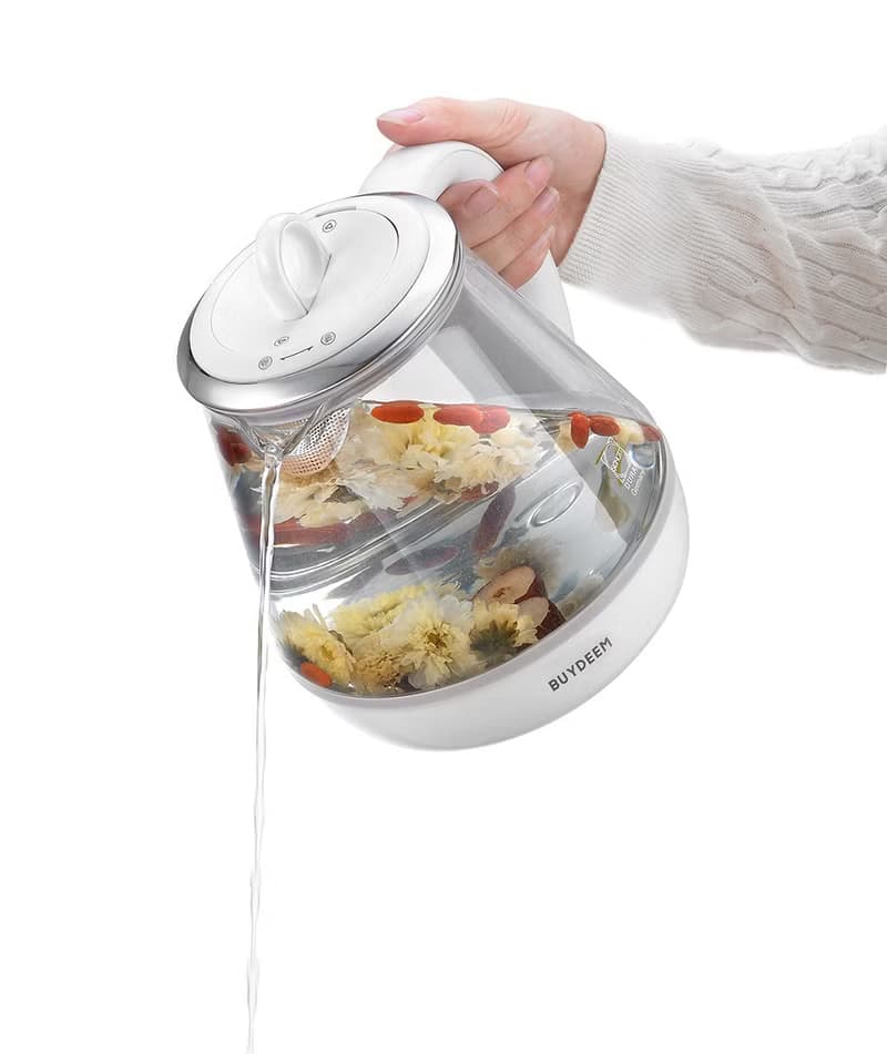BUYDEEM北鼎多功能烹煮壺  1.0L ONE用壺 登保固送養生茶禮盒