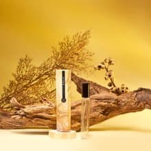 奇境香水【初見樹梢】清新木質 10ml