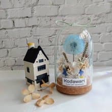 蒲公英的約定 永生蒲公英玻璃罩.花盅  生日.情人節.母親節.畢業