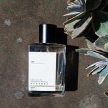 LFP香料香水實驗室 獨家 淡香水 綻放