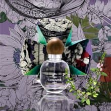 夢幻聯動 ARK芳舟 | P.Seven聯名CANJUNE肯園