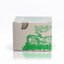 2024 雪乳香  Xuě Rǔ Xiāng