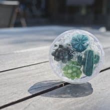 多肉植物 造型手工皂 - 小盒
