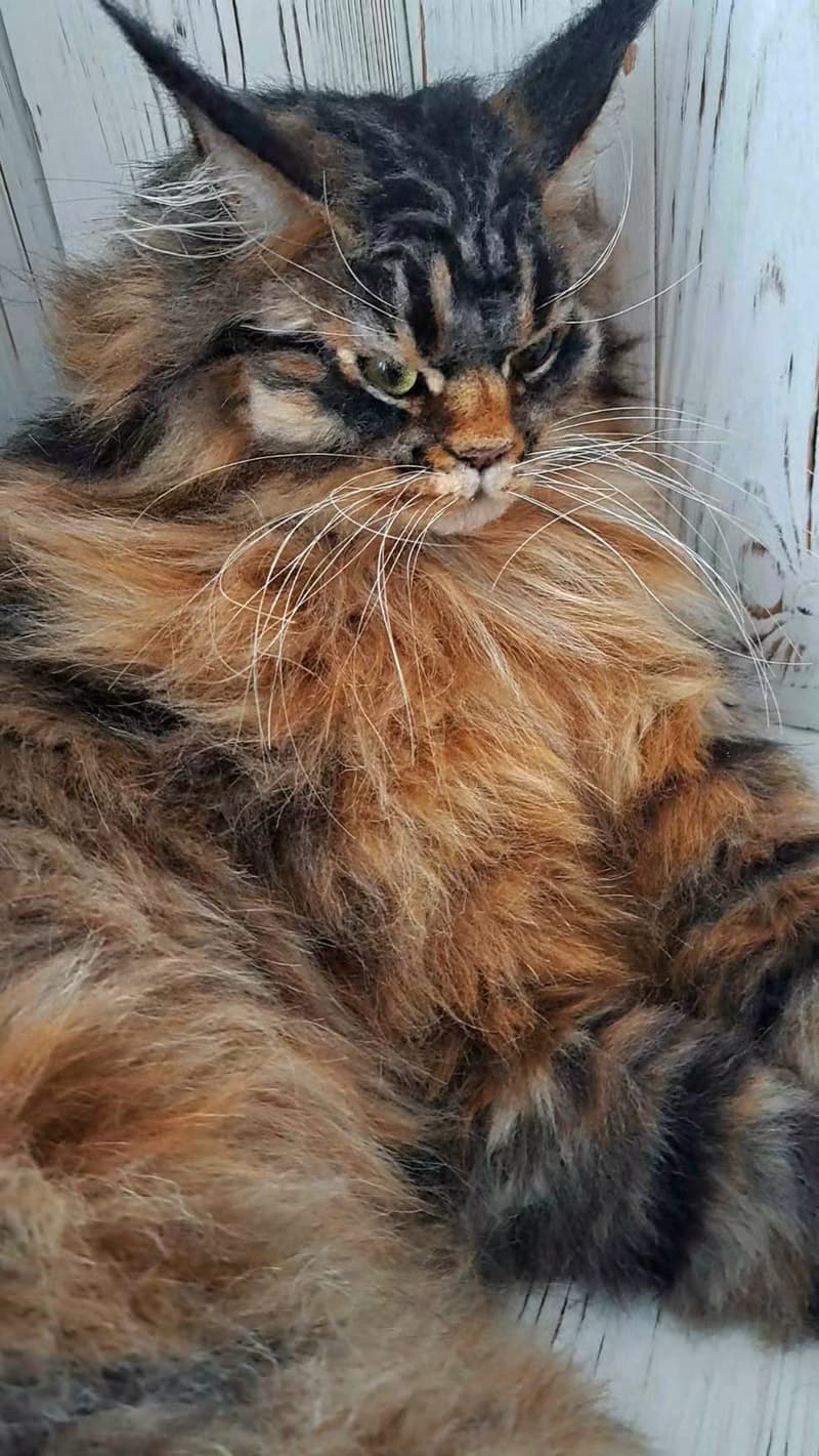 毛氈逼真的貓羊毛雕塑