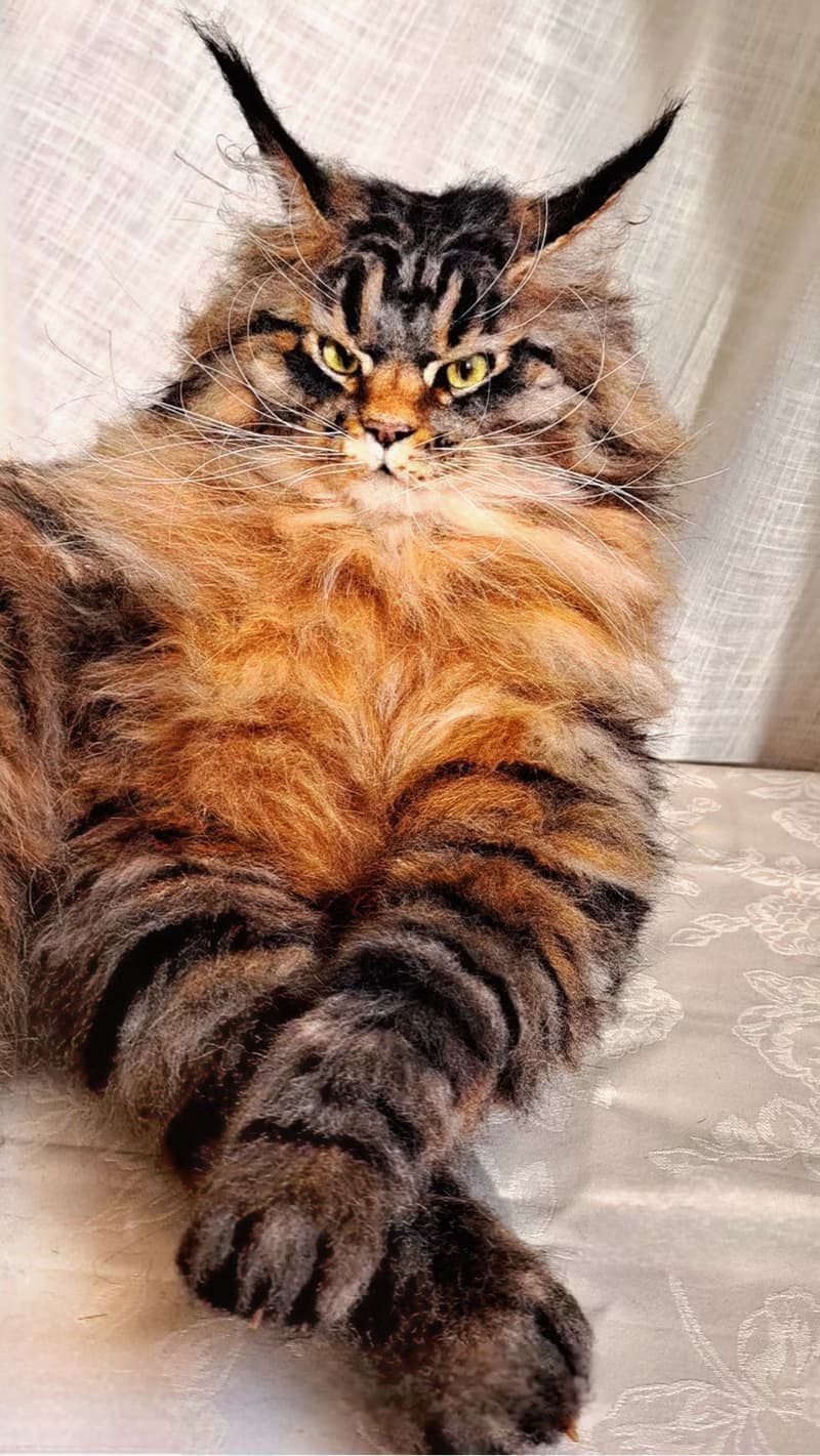 毛氈逼真的貓羊毛雕塑