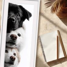 裝飾畫-附畫框 | 入厝禮| 掛畫| 民宿佈置|  室內設計| 海報