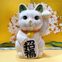 【福杏綻華】日本清水燒招財貓 | 花結晶 杏 - 億万両 左 中號