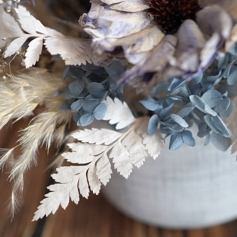 【竒植花物】優雅法式灰紫永生花乾燥花盆花 開幕 喬遷盆栽