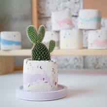 小方盆 • 磨石款 / 手作水泥盆器 / 小盆栽 / 生日送禮