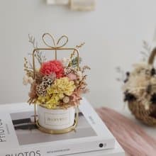 永生花盆花-開幕盆花/喬遷禮/新婚禮物/入厝禮/升遷禮/母親節禮物