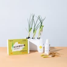 自己的蔥自己種 DIY學習套裝