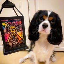 【Moko Bastet】萌犬彩繪小夜燈 蠟燭燈 裝飾燈 燈籠 中秋