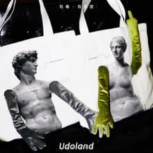 UDOLANDx織布云|原創聯名設計大衛維納斯大托特包