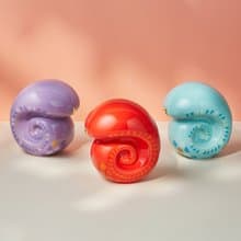 2025蛇年-卷卷金撲滿 |新年禮盒
