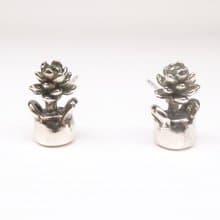 二毛銀【多肉植物系列─旋葉姬星-耳針】銀 or 金