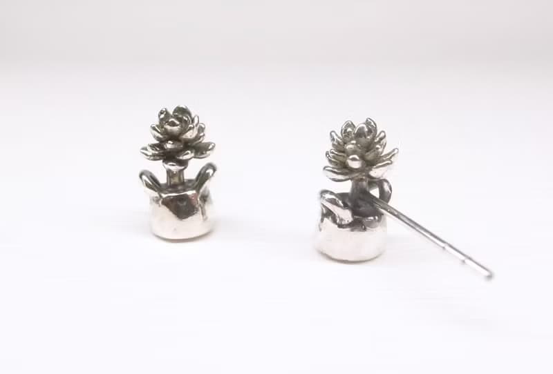 二毛銀【多肉植物系列─旋葉姬星-耳針】銀 or 金