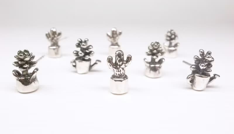 二毛銀【多肉植物系列─旋葉姬星-耳針】銀 or 金