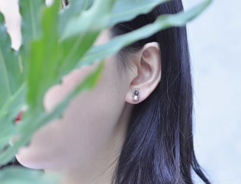 二毛銀【多肉植物系列─旋葉姬星-耳針】銀 or 金