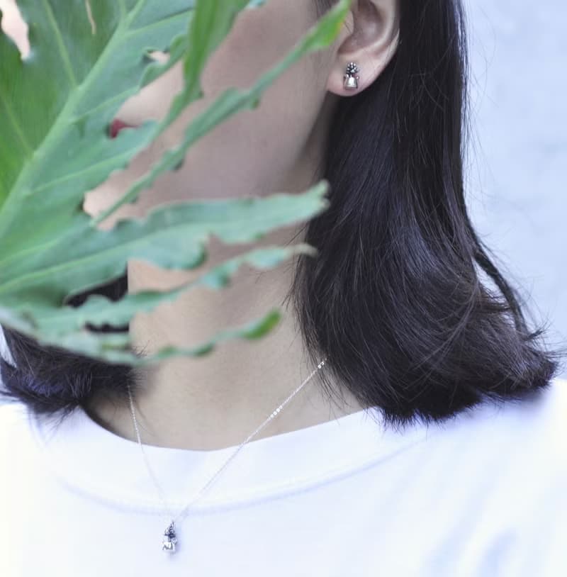 二毛銀【多肉植物系列─旋葉姬星-耳針】銀 or 金