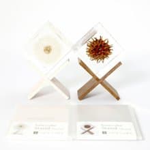 Sola cube 立方塊木質置物架(共2色)