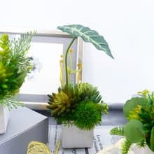 觀音蓮葉佛手蓮香氛植栽/擬真植物/人造盆栽/綠化/佈置/禮物