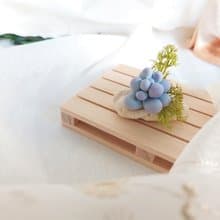 仿真黏土多肉 月美人 小盆