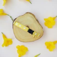 : MINI DAISIES : Yellow  - Handmade embroidered flower breakaway cat collar