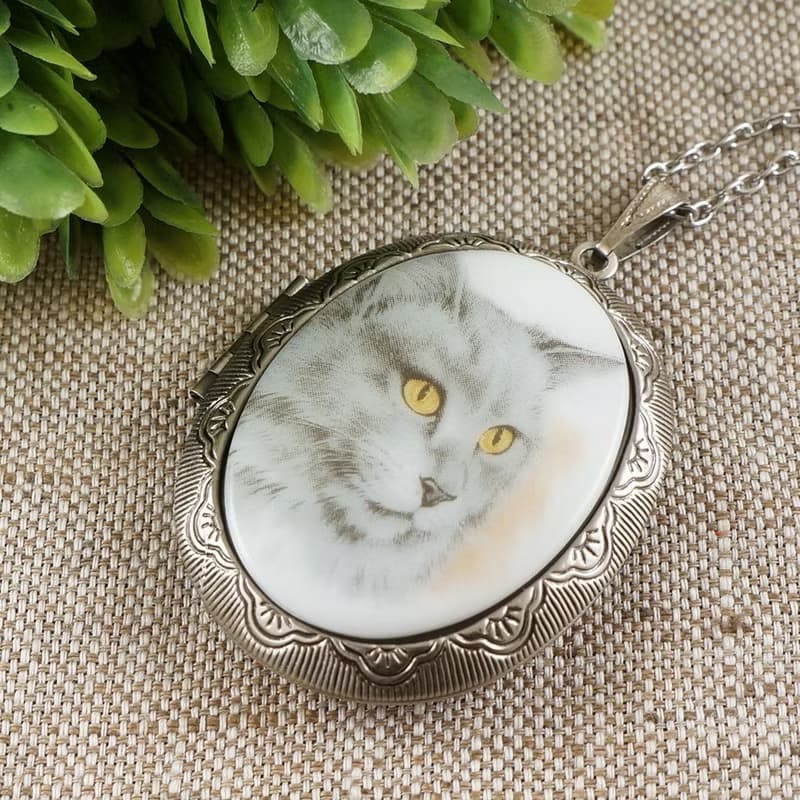 Gray White Cat Photo Locket Yellow Gray Fluffy Kitten Pendant Necklace Jewelry