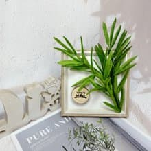 【手工訂製】花禮【節節高升】毛根開運竹