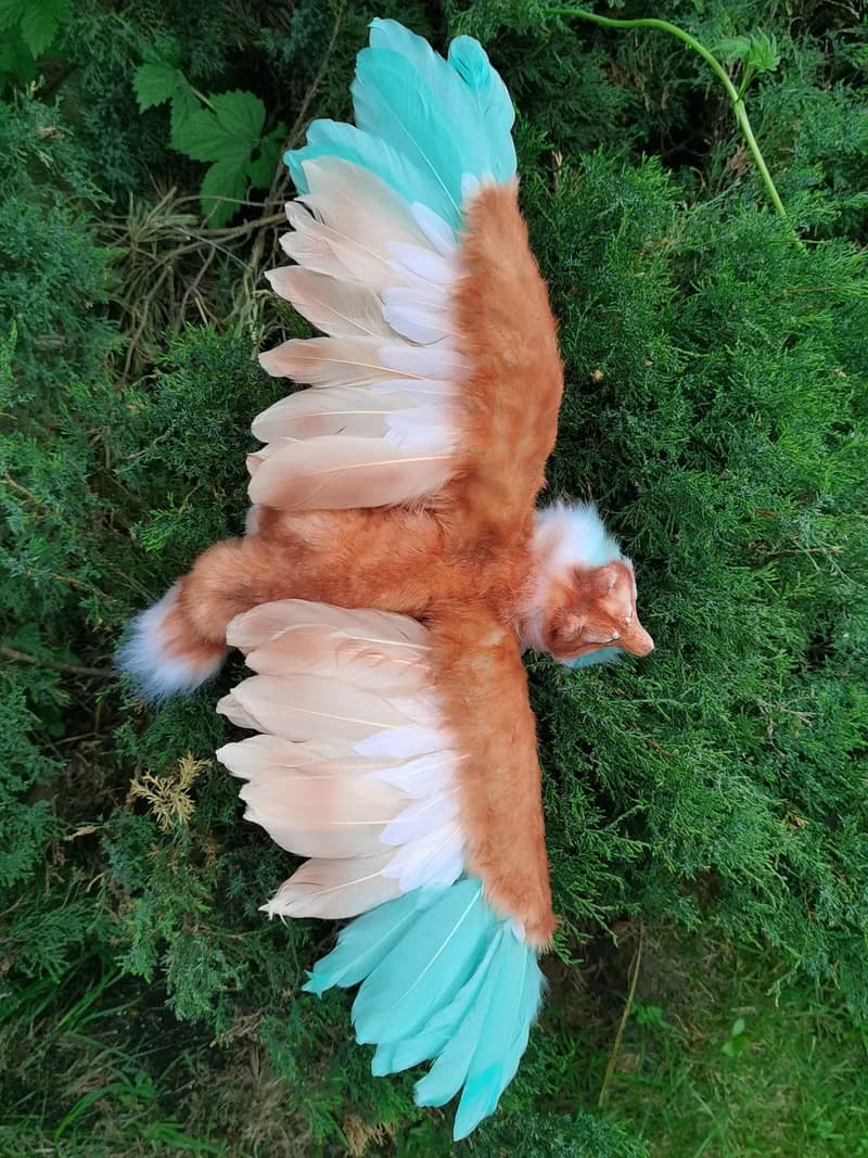 Wings wolf animal artdoll stuffed poseable
