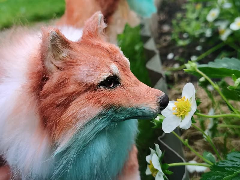 Wings wolf animal artdoll stuffed poseable