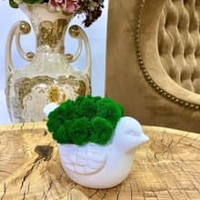 Flower pots, stabilized moss Bird
