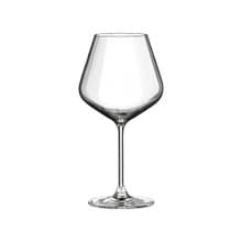 【RONA】斯洛伐克 Le Vin樂活系列-勃根地杯690ml