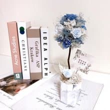 乾燥永生花擴香盆栽 樹球造型桌面擺飾