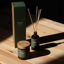 【瑞典 Torplyktan】北極森林蠟燭150g-森林之谷