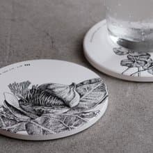 矽瓷吸濕杯墊 / 花果二入