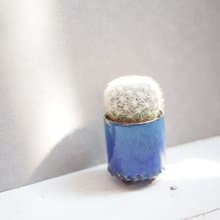 【琺瑯植栽系列-群青】  滿月 雪白丸 仙人掌  多肉植物 小品盆栽