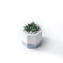 (現貨) 莫蘭迪紫系列 | 厚葉寶草 小八角形雙色水泥多肉植栽