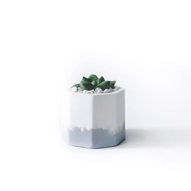 (現貨) 莫蘭迪紫系列 | 厚葉寶草 小八角形雙色水泥多肉植栽