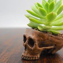 Skull pots cactus small potted plants in brass and rusty color Handcrafted from