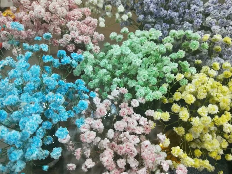 【體驗】鮮花凍齡的製作體驗 【送一堂永生花設計課】
