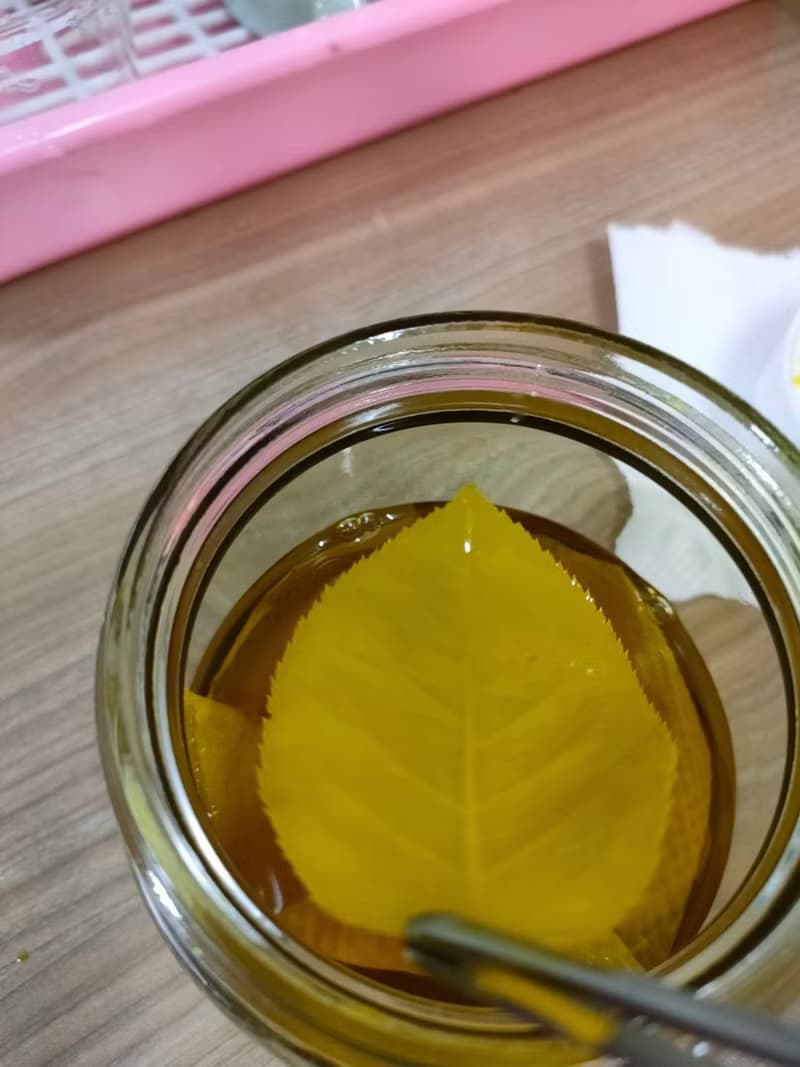 【體驗】鮮花凍齡的製作體驗 【送一堂永生花設計課】