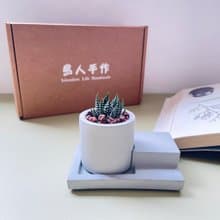 【火力全開--小】開運招財療癒仙人掌 辦公桌療癒系盆栽 畢業禮物