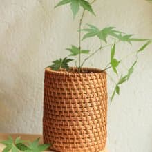 藤編系列 | 茶具筒 筆筒 | 花器 多用收納筒 | 天然秋藤