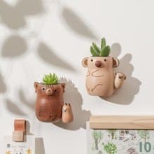 【無尾熊/貓咪】造型盆栽罐 不含植物 | 蒔光