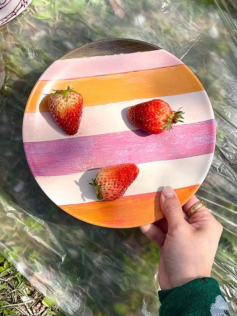 SoftServe柔軟供應 切半紫甘藍紫薯南瓜條紋竹纖維餐具