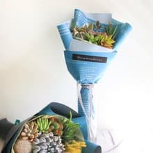 【獨特の畢業花束】多肉花束Special to U