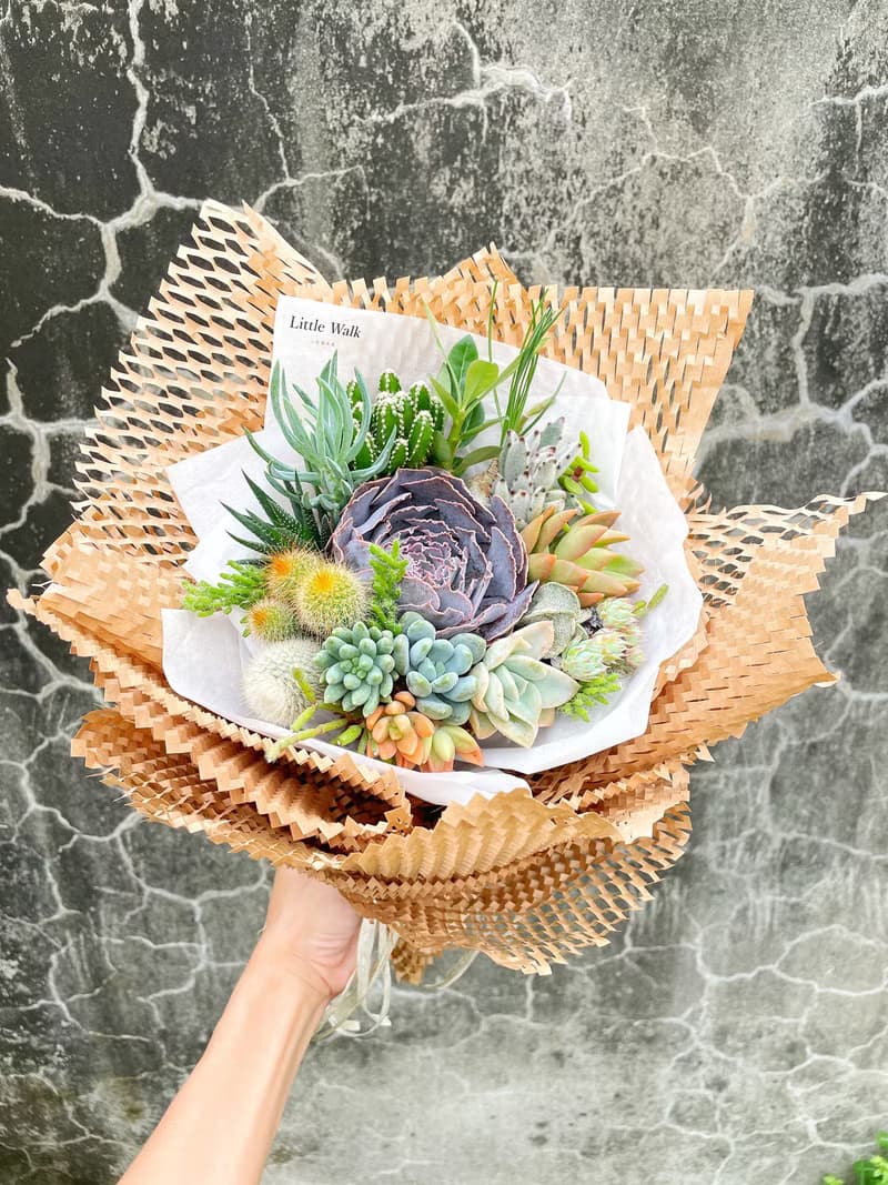 【獨特の畢業花束】多肉花束Special to U