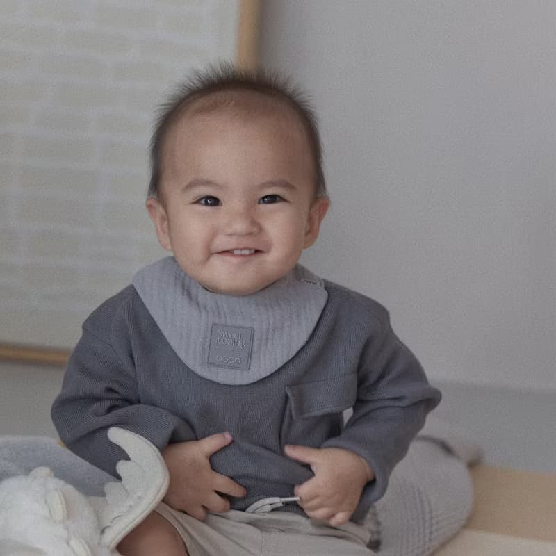 Pazzy Bib 品牌經典圍兜