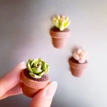 迷你多肉植物盆栽磁鐵_共6款。仿真黏土多肉植物